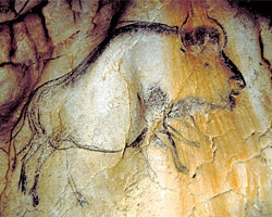 Французские археологи обнаружили «пещерное кино»