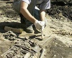 В Добровском районе найдены кости древних животных