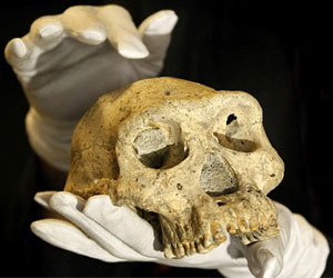 Сможет ли переписать историю человечества череп, найденный в Грузии?